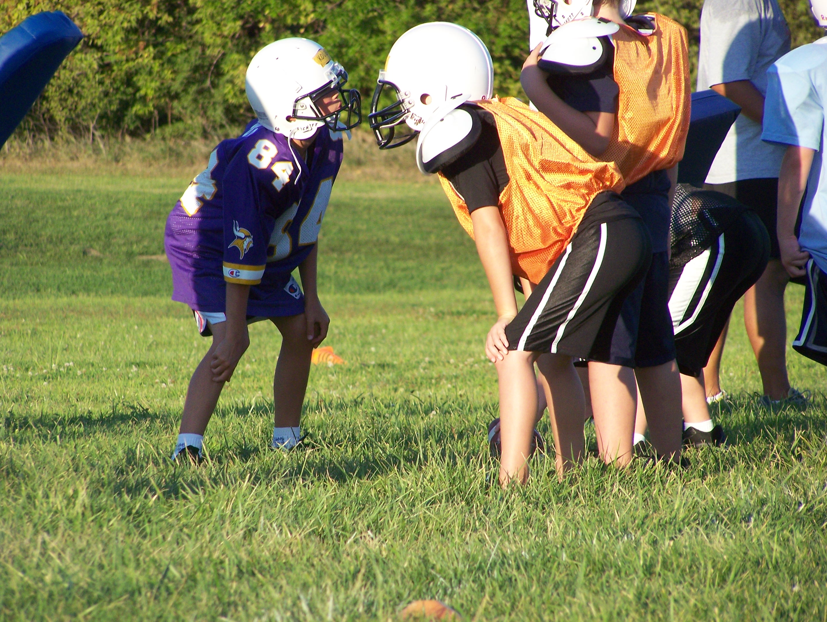 picture127.jpg
